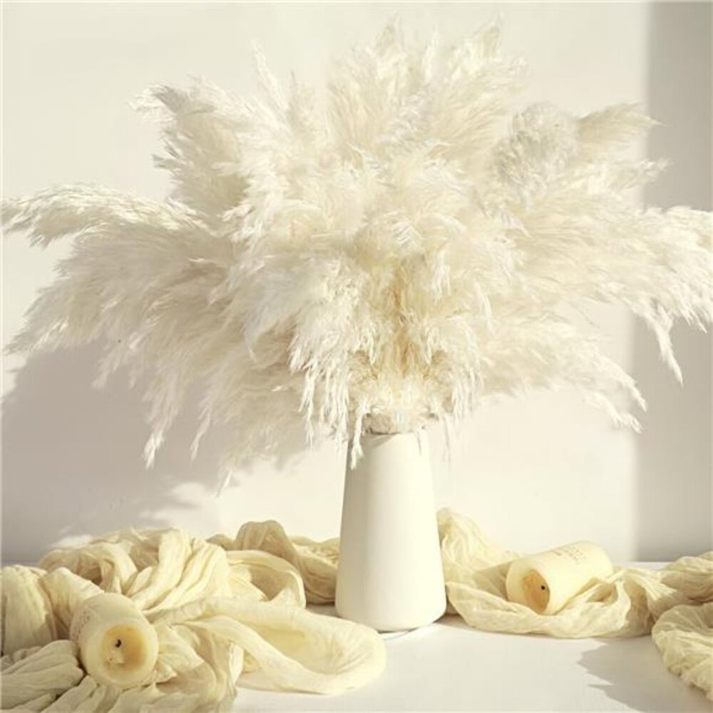 20PCS White Pampas Grass Decor, Natural Dried Pampas Grass Bulk Short Pompas
